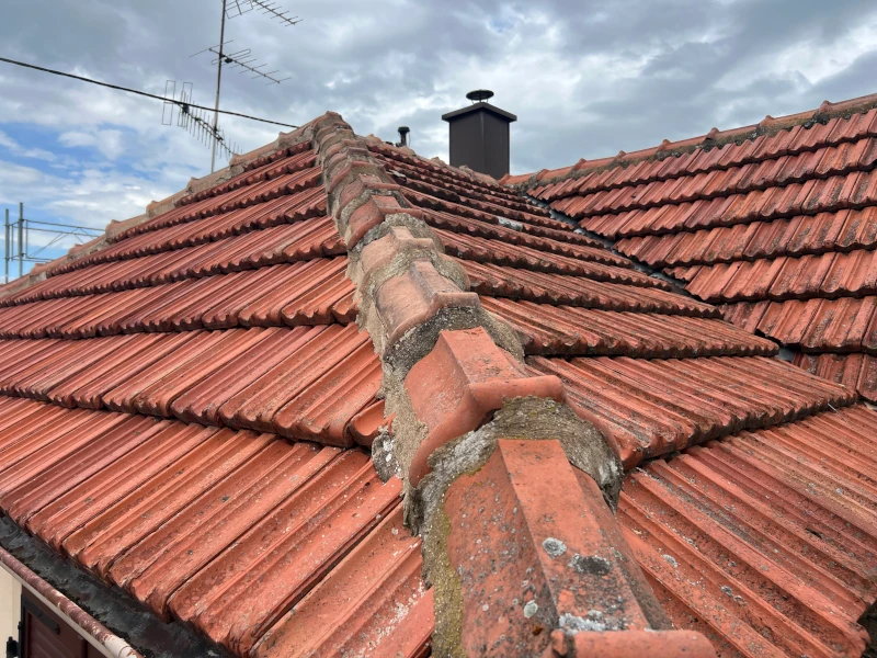 travaux de toiture à Nordhouse avant